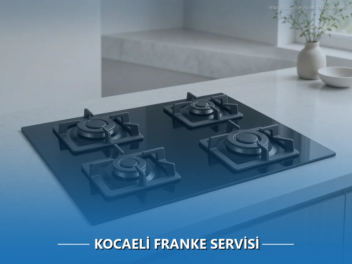 Kocaeli Franke Servisi